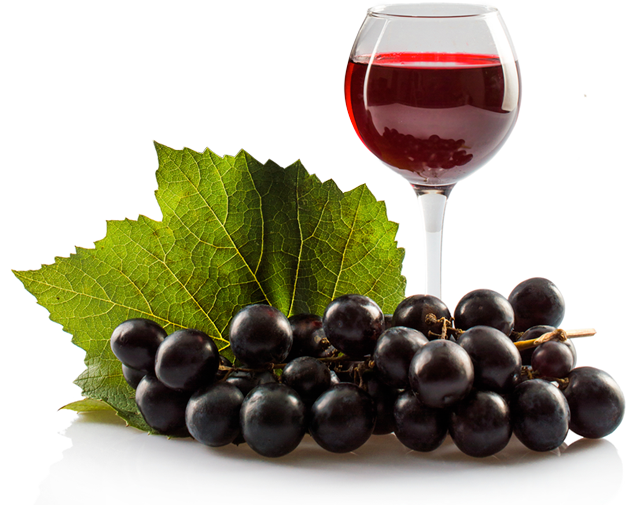 cave a vin saint maixent l'ecole