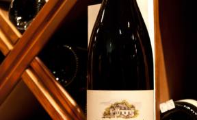 Caves a vins st maixent l'ecole